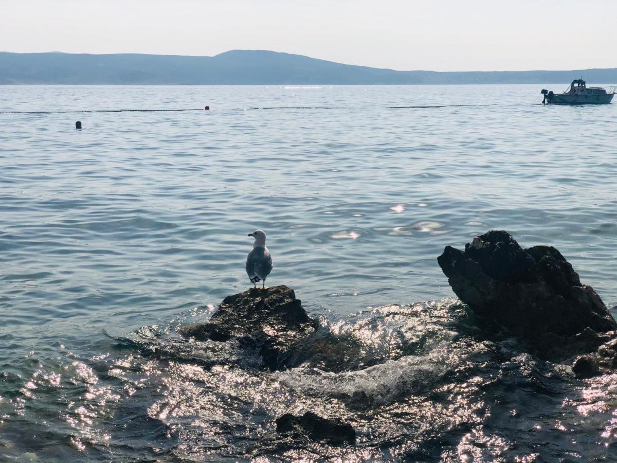 Apartman Meghan Novi Vinodolski Bagian luar foto